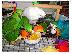PoulaTo: Xmas and New Year Blue Fronted Amazon Talking Parrot